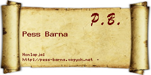 Pess Barna névjegykártya